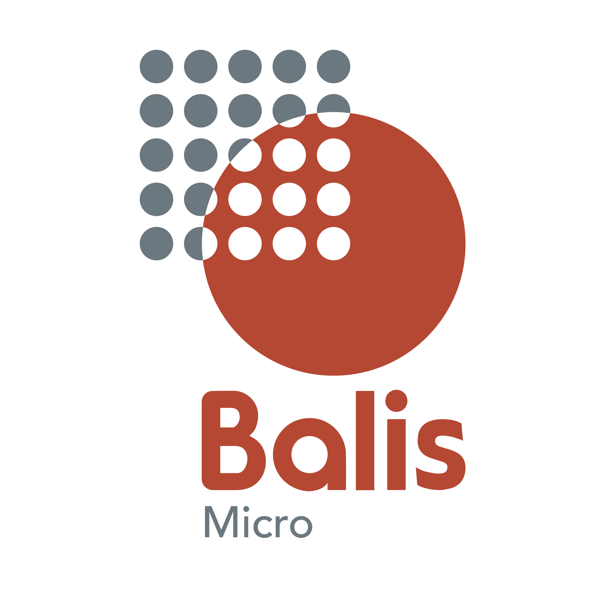 Balis Micro B.V.